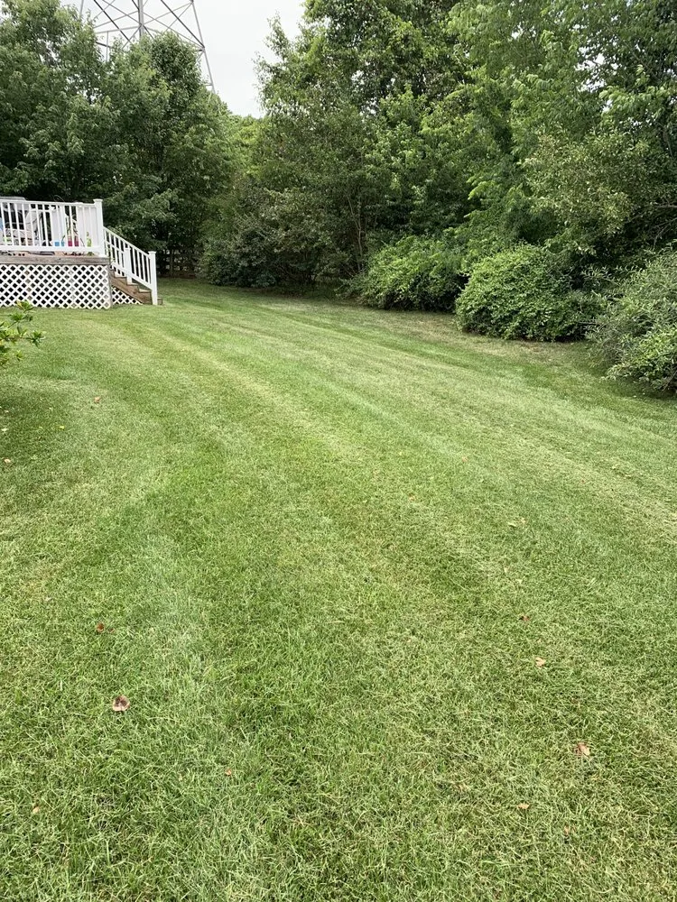 Professional residential landscaping for outdoor upgrades across Winston-Salem, NC - A&A Lawn Care Service