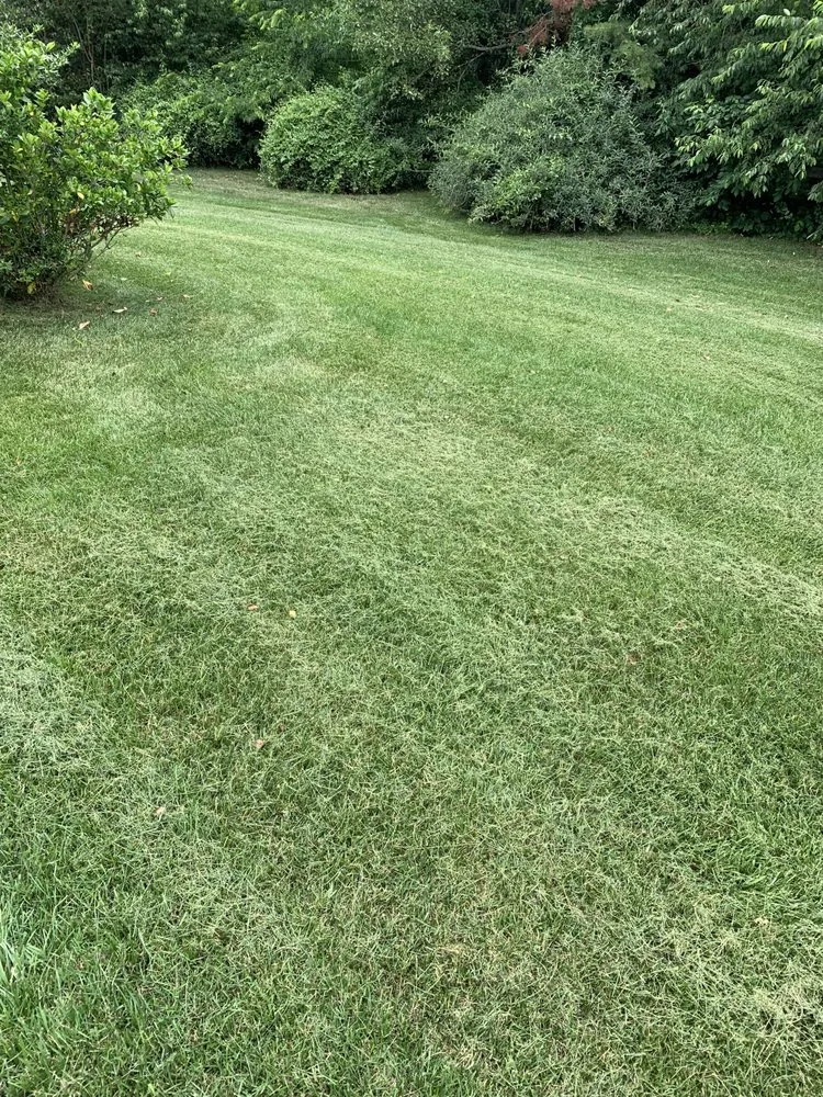 Reliable lawn mowing service for homes in Winston-Salem, NC by A&A Lawn Care Service