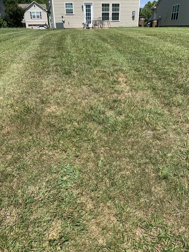 Expert yard maintenance for beautiful yards in Winston-Salem, NC by A&A Lawn Care Service