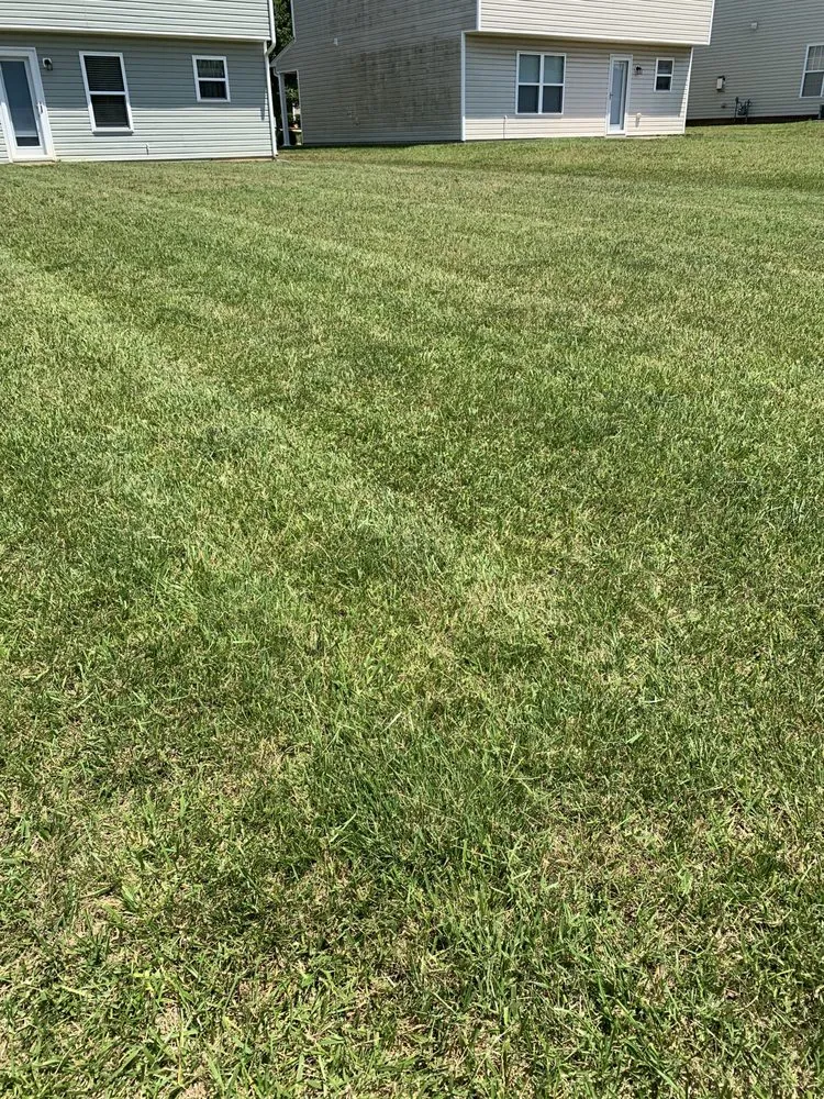 Local lawn care service experts serving Winston-Salem, NC - A&A Lawn Care Service