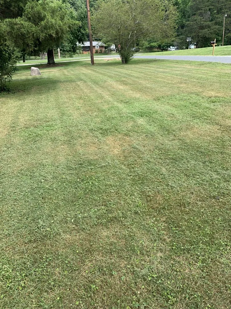 Reliable residential landscaping in Winston-Salem, NC by A&A Lawn Care Service