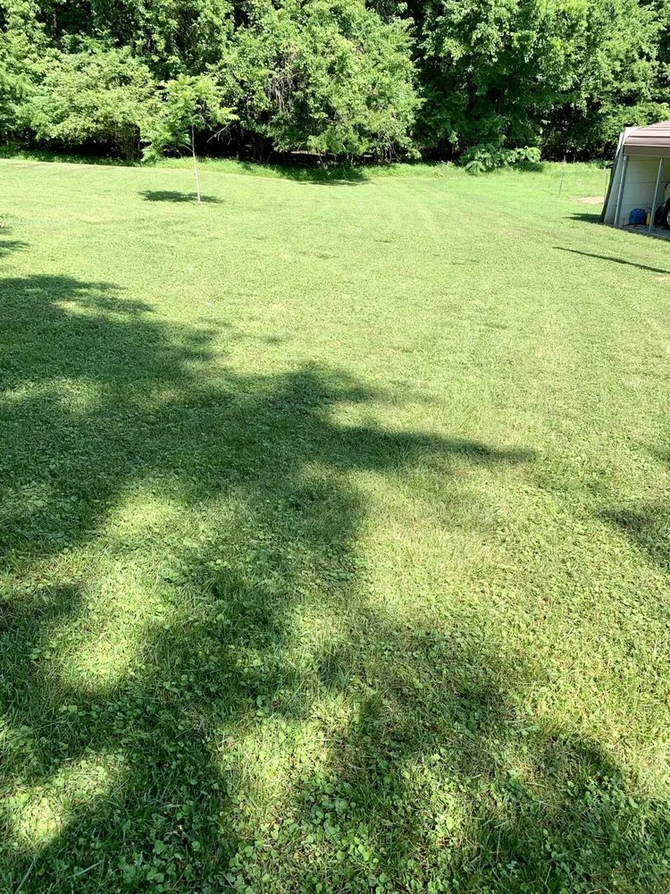 Expert yard maintenance experts serving Winston-Salem, NC - A&A Lawn Care Service