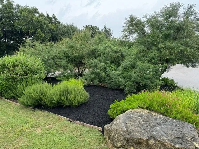 Affordable yard cleanup service experts serving Georgetown, TX - A&A Lawn Care Services