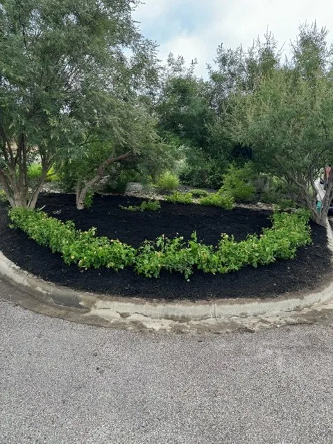 Trusted lawn mowing service experts serving Georgetown, TX - A&A Lawn Care Services