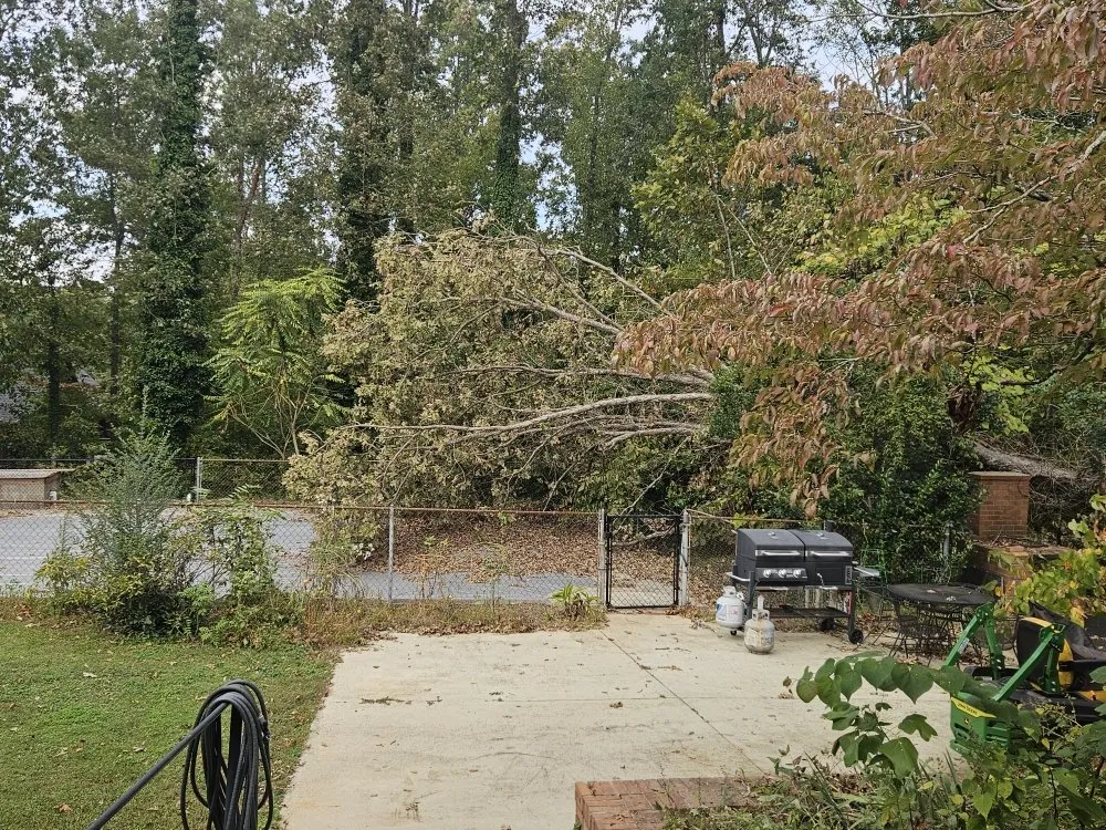 Custom landscape design in Easley, SC - A&A Lawn Maintance