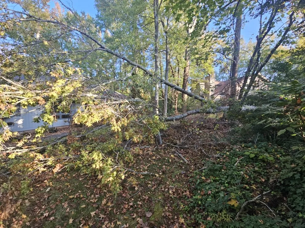 Professional landscape design in Easley, SC by A&A Lawn Maintance