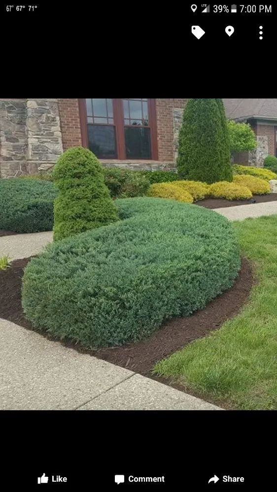 Local landscaping services in Crestwood, KY by A&A Lawn Service & Landscaping