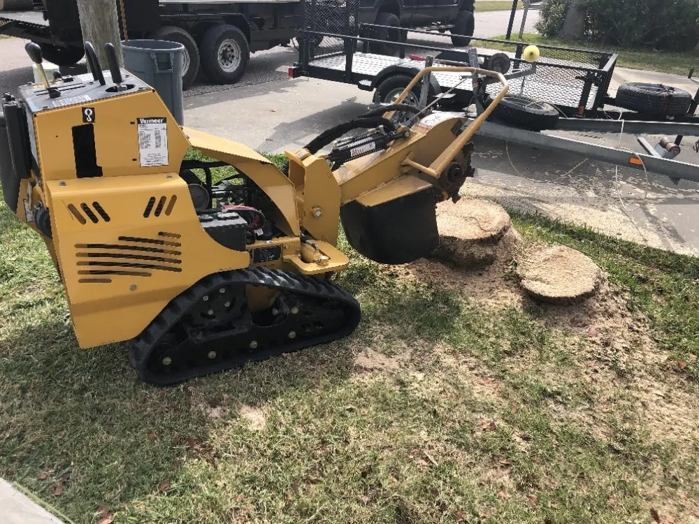 Top-rated yard cleanup service for beautiful yards in Galveston, TX by A&A lawn service