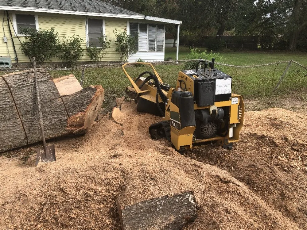 Expert residential landscaping for year-round maintenance in Galveston, TX by A&A lawn service