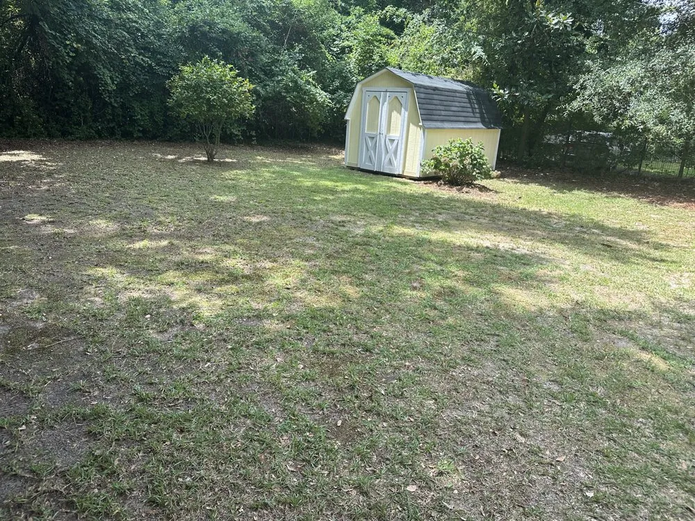 Trusted yard cleanup service experts serving Fayetteville, NC - A&A Lawn Services