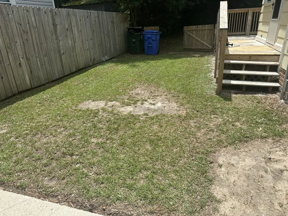 Reliable yard maintenance near you in Fayetteville, NC by A&A Lawn Services