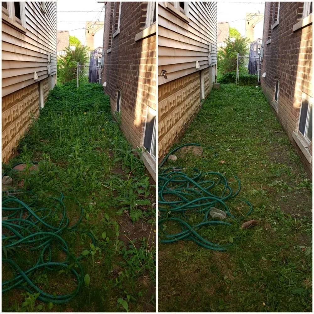 Reliable yard cleanup service for year-round maintenance across Dearborn, MI - A&A Lawncare service