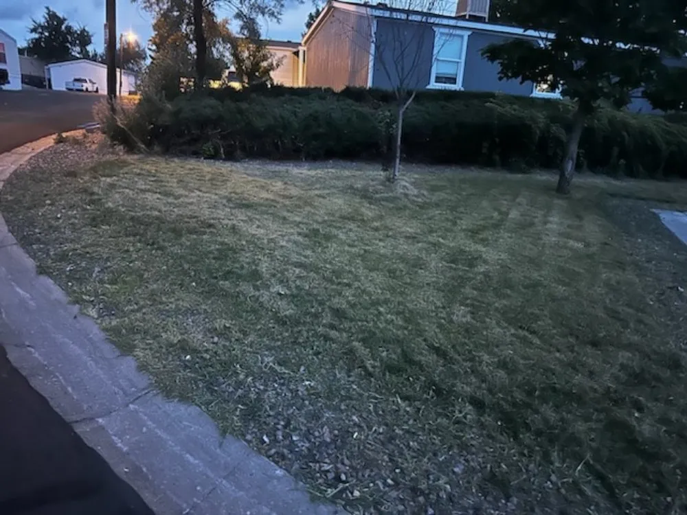 Local residential landscaping in Denver, CO - AA LoBo's Landscaping