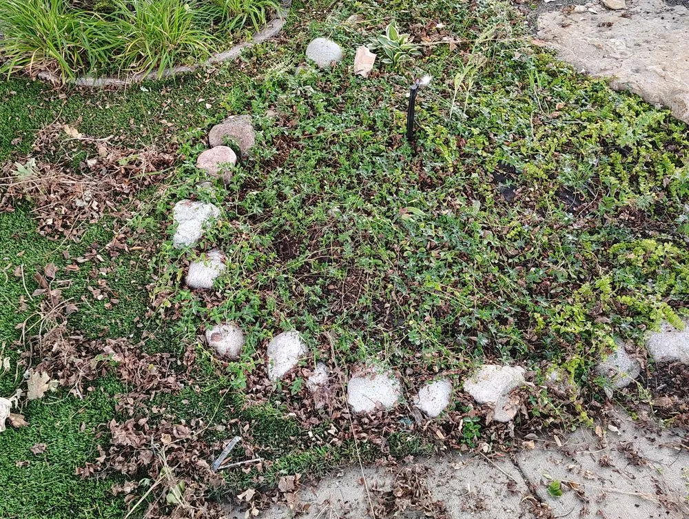 Custom landscape installation near you in Denver, CO by AA LoBo's Landscaping