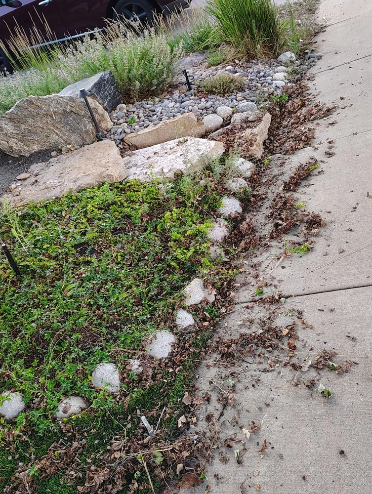 Reliable yard cleanup service for outdoor upgrades in Denver, CO by AA LoBo's Landscaping