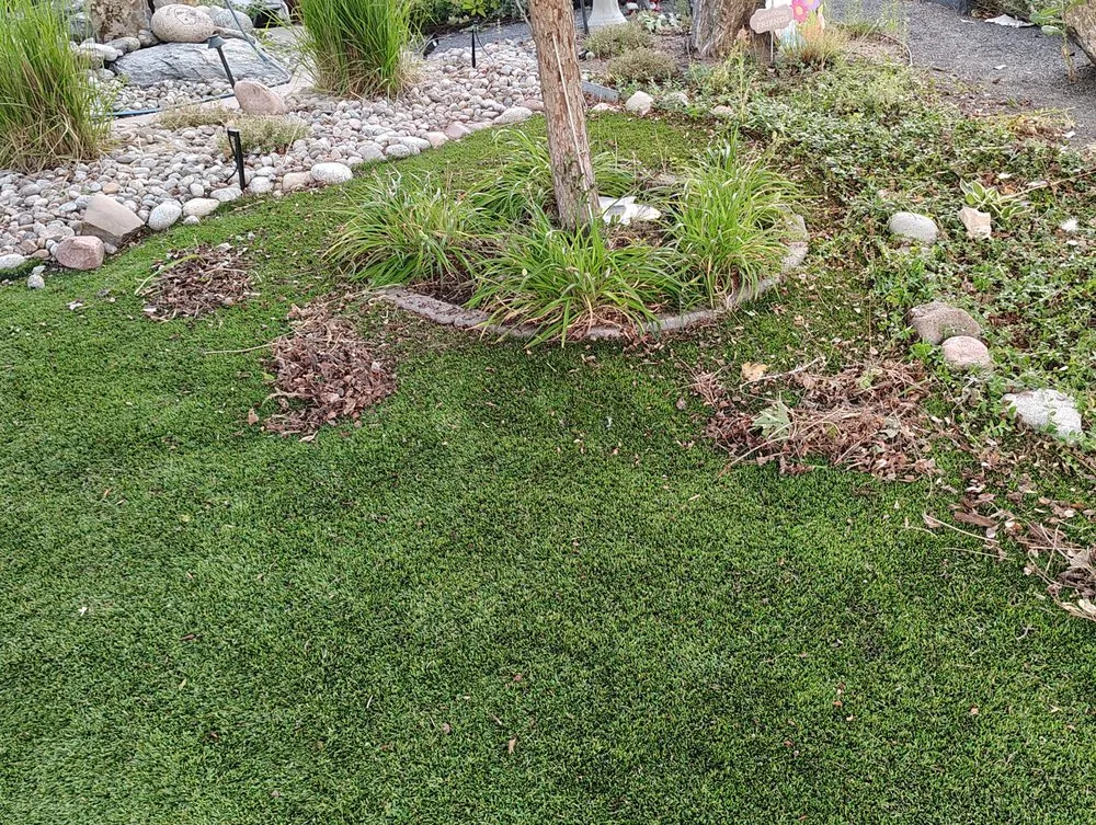 Professional outdoor landscaping for homes in Denver, CO by AA LoBo's Landscaping