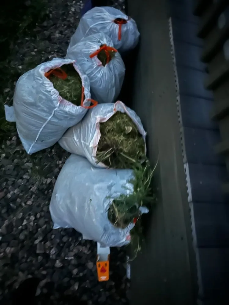 Local lawn care service in Denver, CO - AA LoBo's Landscaping