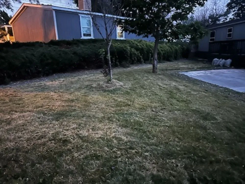 Expert landscape installation in Denver, CO - AA LoBo's Landscaping