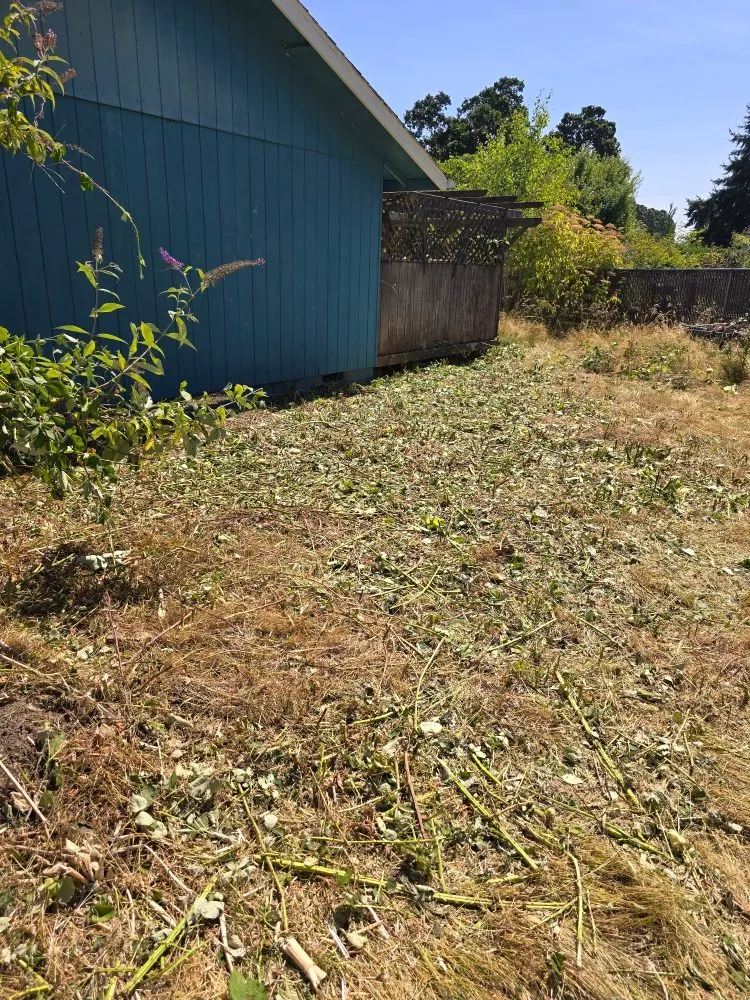 Affordable landscape design for year-round maintenance in Independence, OR by A&A Maintenance And Design