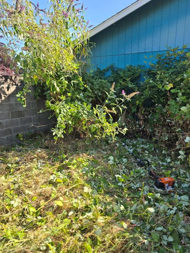 Professional landscaping services in Independence, OR by A&A Maintenance And Design