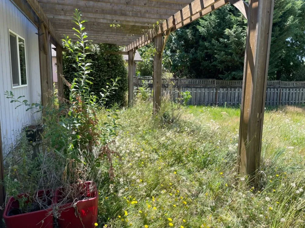 Expert lawn mowing service in Independence, OR - A&A Maintenance And Design