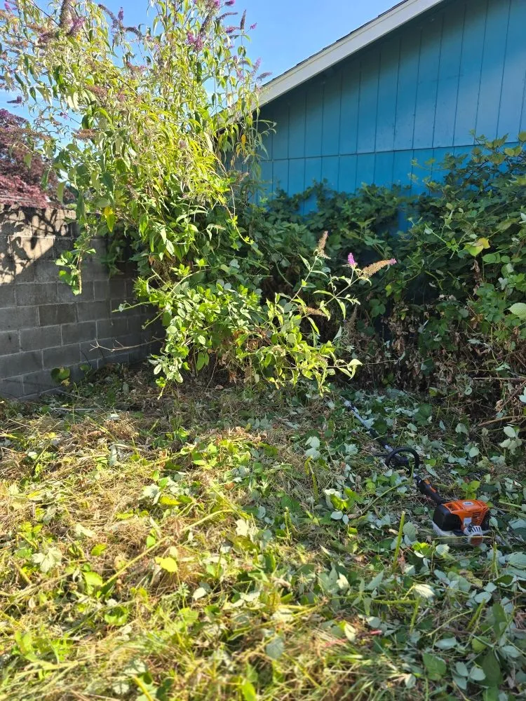 Local yard maintenance in Independence, OR - A&A Maintenance And Design