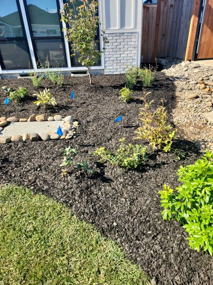 Affordable residential landscaping for residential properties in Independence, OR by A&A Maintenance And Design