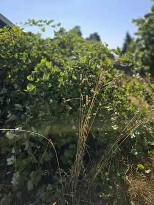 A&A Maintenance And Design