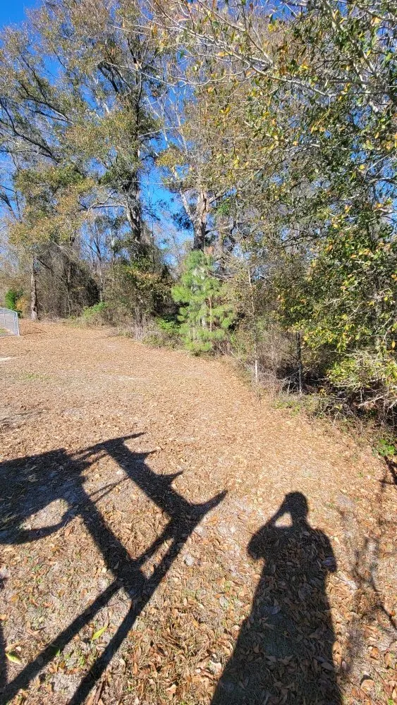 Professional lawn care service for beautiful yards across Hazlehurst, GA - A&A Mulch and Brush Control