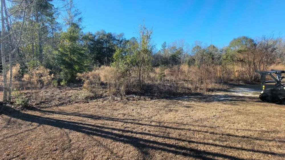 Top-rated landscaping services for year-round maintenance in Hazlehurst, GA by A&A Mulch and Brush Control