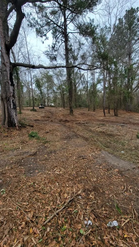 Expert lawn mowing service for year-round maintenance across Hazlehurst, GA - A&A Mulch and Brush Control