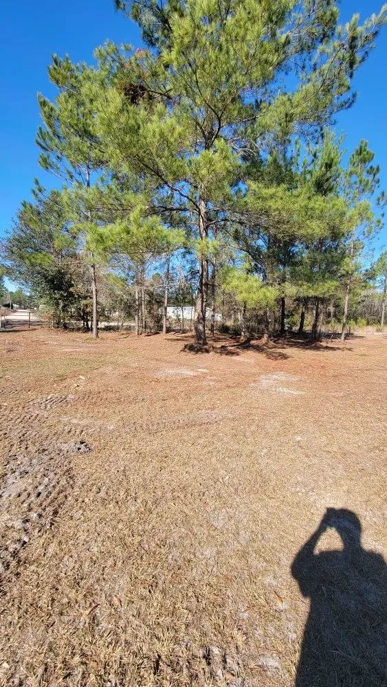 Top-rated landscape design for beautiful yards in Hazlehurst, GA by A&A Mulch and Brush Control