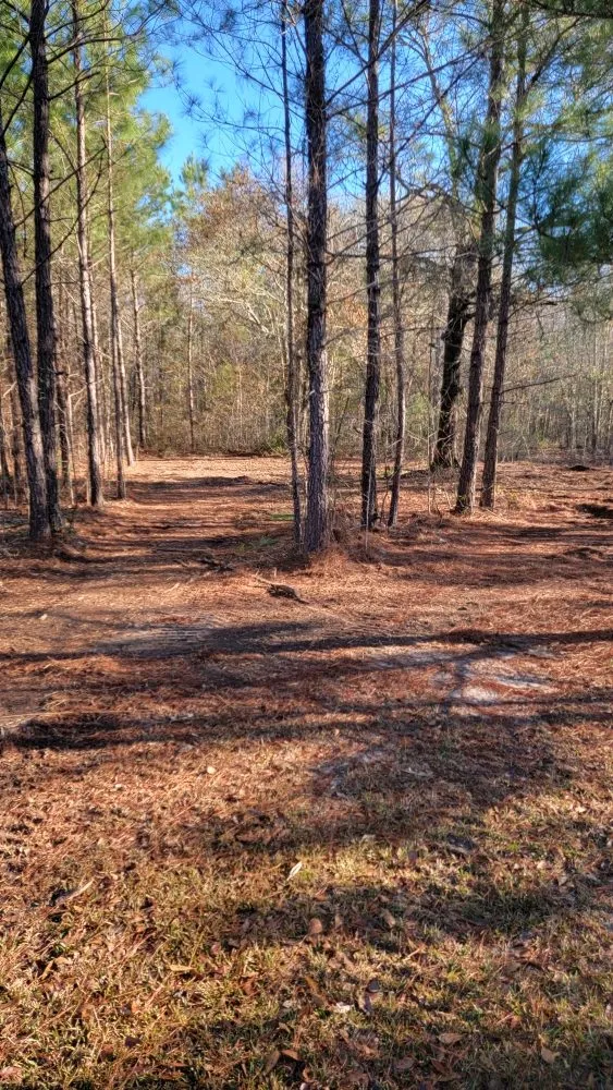 Local lawn mowing service in Hazlehurst, GA by A&A Mulch and Brush Control