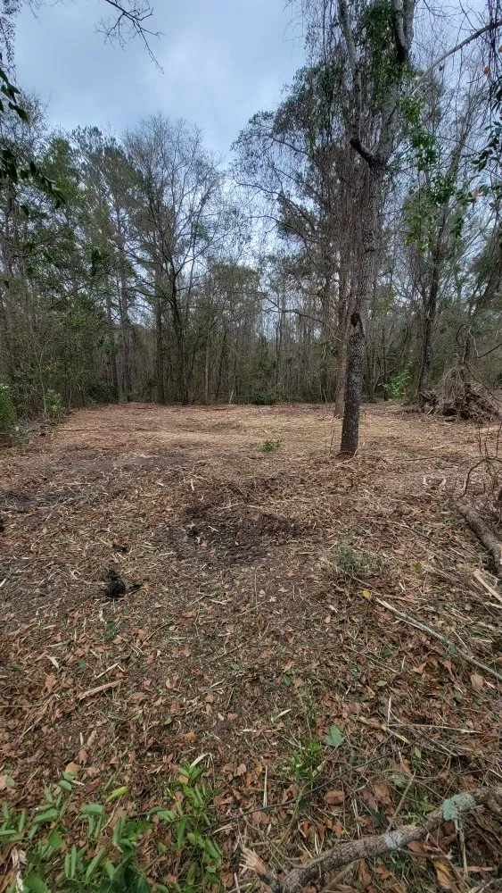 Trusted lawn mowing service in Hazlehurst, GA by A&A Mulch and Brush Control