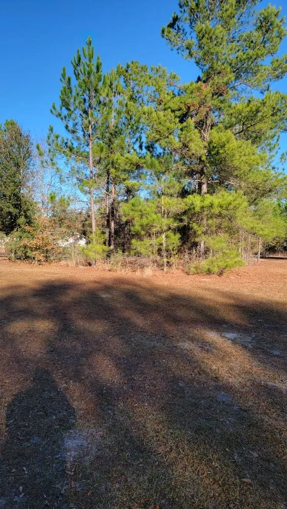 Reliable garden landscaping for homes in Hazlehurst, GA by A&A Mulch and Brush Control