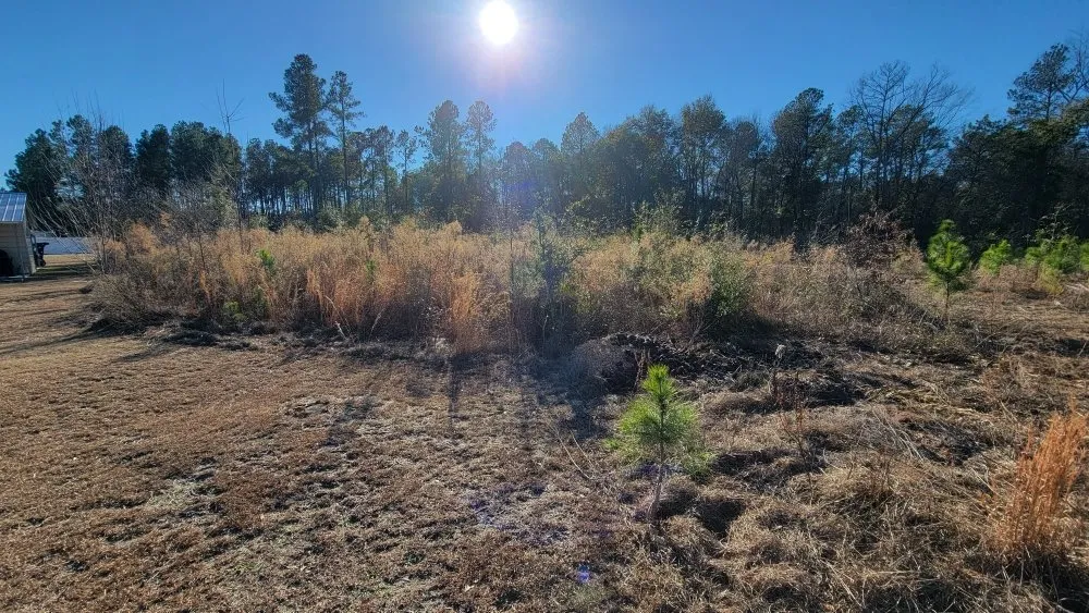 Custom residential landscaping in Hazlehurst, GA - A&A Mulch and Brush Control