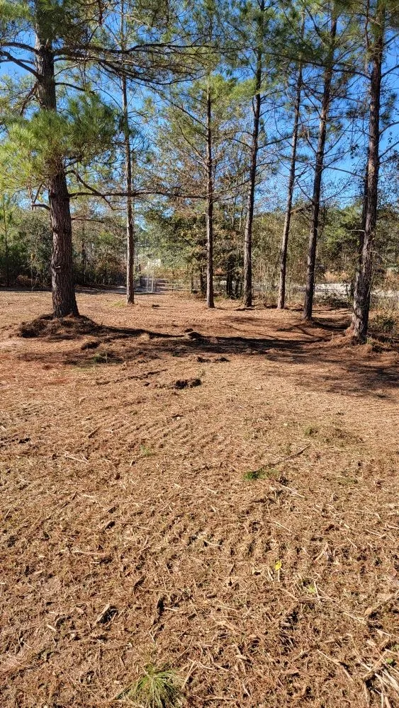 Professional landscape design for beautiful yards across Hazlehurst, GA - A&A Mulch and Brush Control