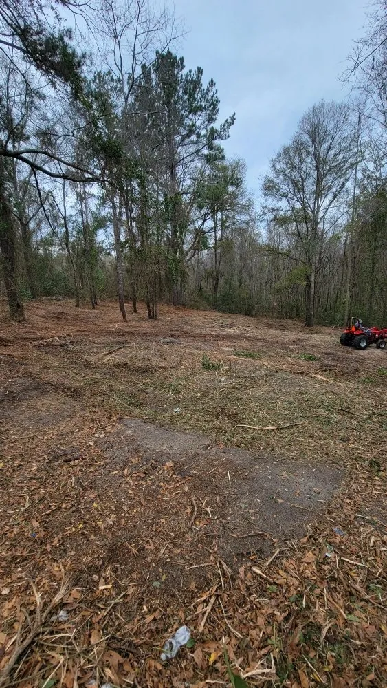 Professional yard maintenance experts serving Hazlehurst, GA - A&A Mulch and Brush Control
