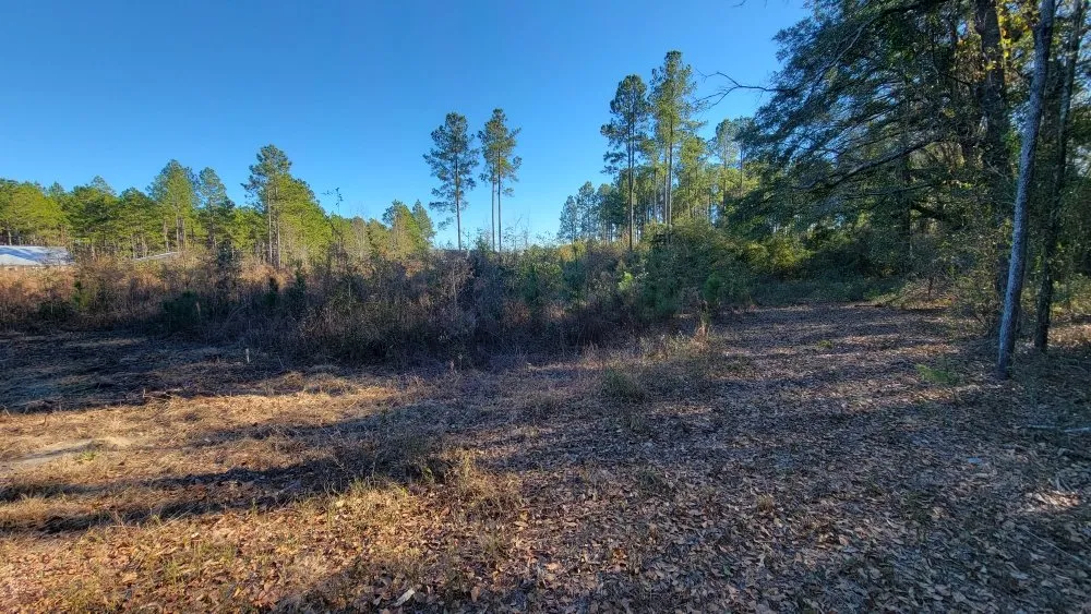 Reliable yard maintenance in Hazlehurst, GA - A&A Mulch and Brush Control