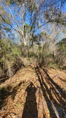 A&A Mulch and Brush Control