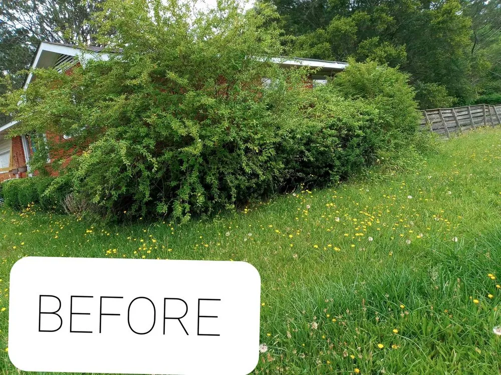 Top-rated yard cleanup service in Rockmart, GA by A&A MultiScapes