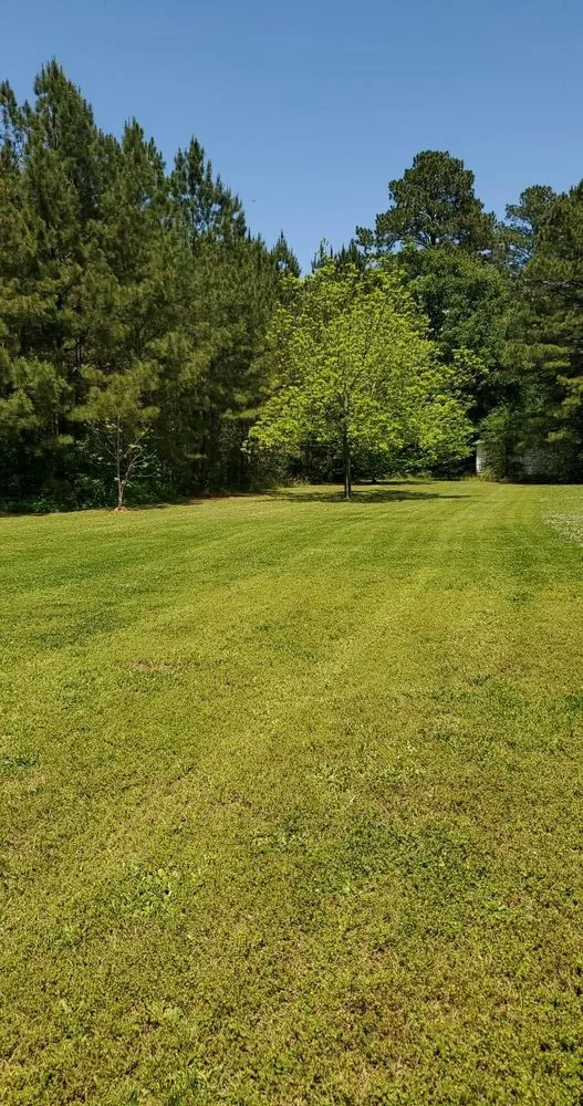 Trusted landscape installation for year-round maintenance across Rockmart, GA - A&A MultiScapes