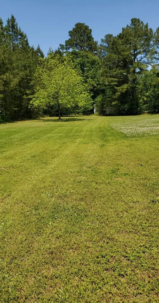 Custom outdoor landscaping for homes across Rockmart, GA - A&A MultiScapes