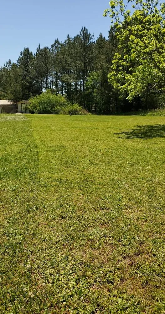 Professional lawn mowing service for beautiful yards across Rockmart, GA - A&A MultiScapes