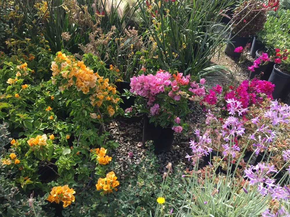 Expert lawn care service experts serving Los Angeles, CA - A&A Nursery