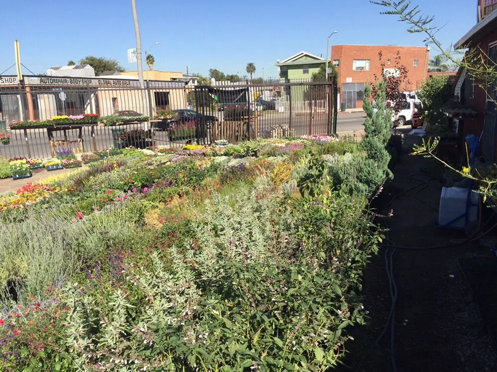 Custom landscape installation for residential properties in Los Angeles, CA by A&A Nursery