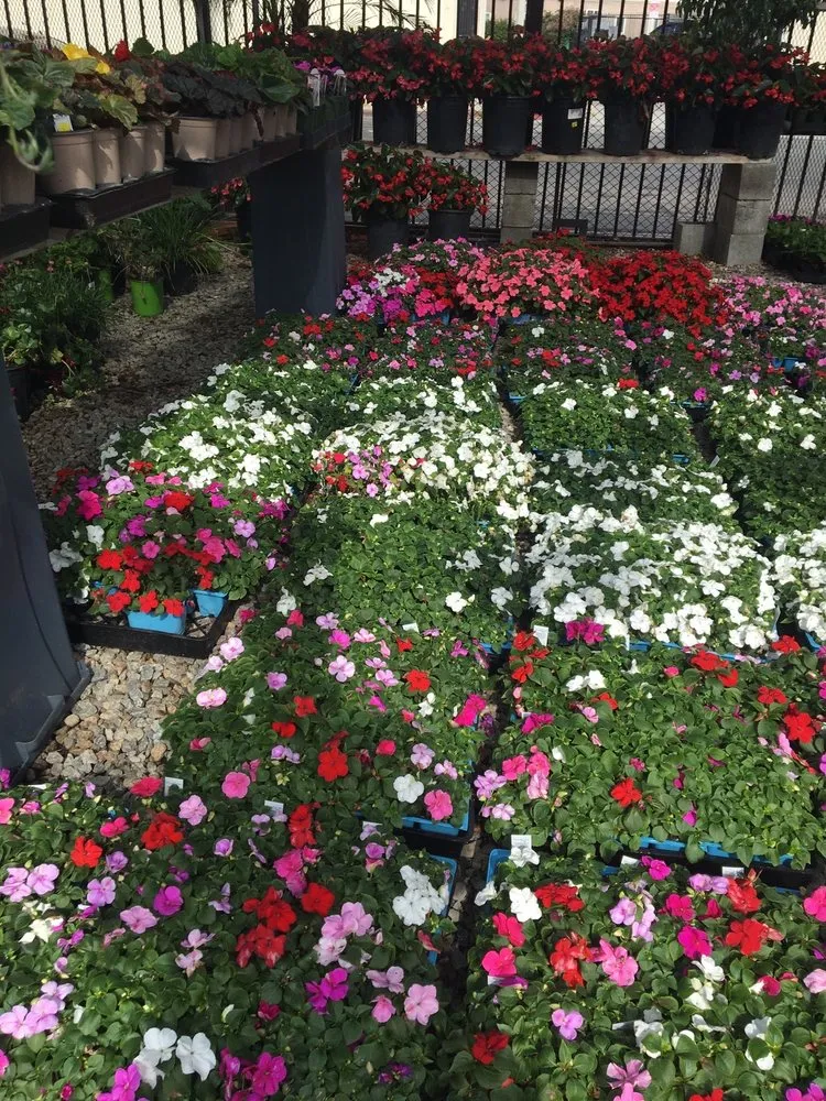 Top-rated garden landscaping in Los Angeles, CA by A&A Nursery