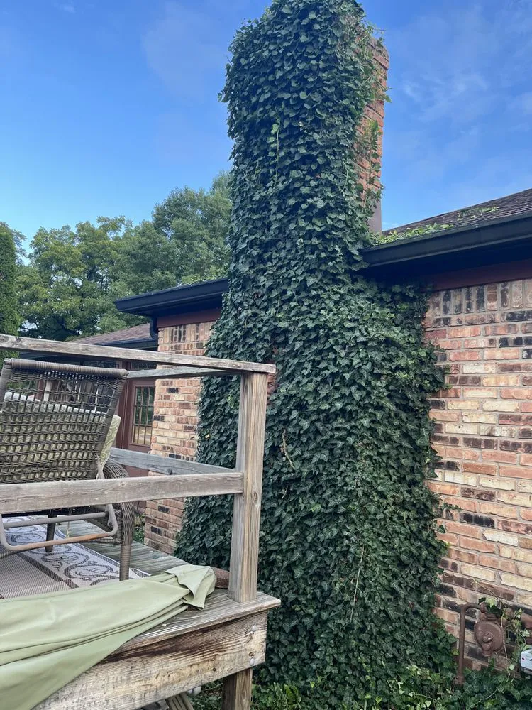 Professional landscaping services experts serving Danville, IN - AA Outdoor Services