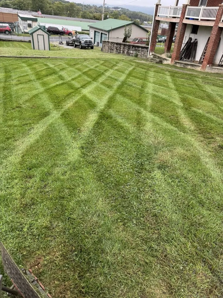 Local lawn care service for residential properties across Kutztown, PA - AA Reichard Property Services
