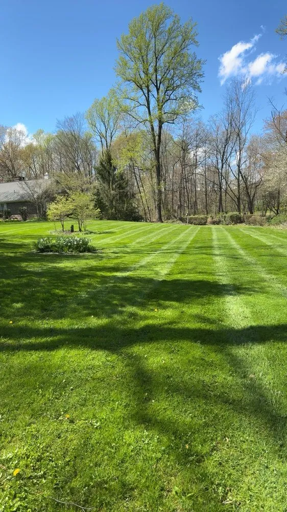 Reliable landscaping services in Kutztown, PA by AA Reichard Property Services